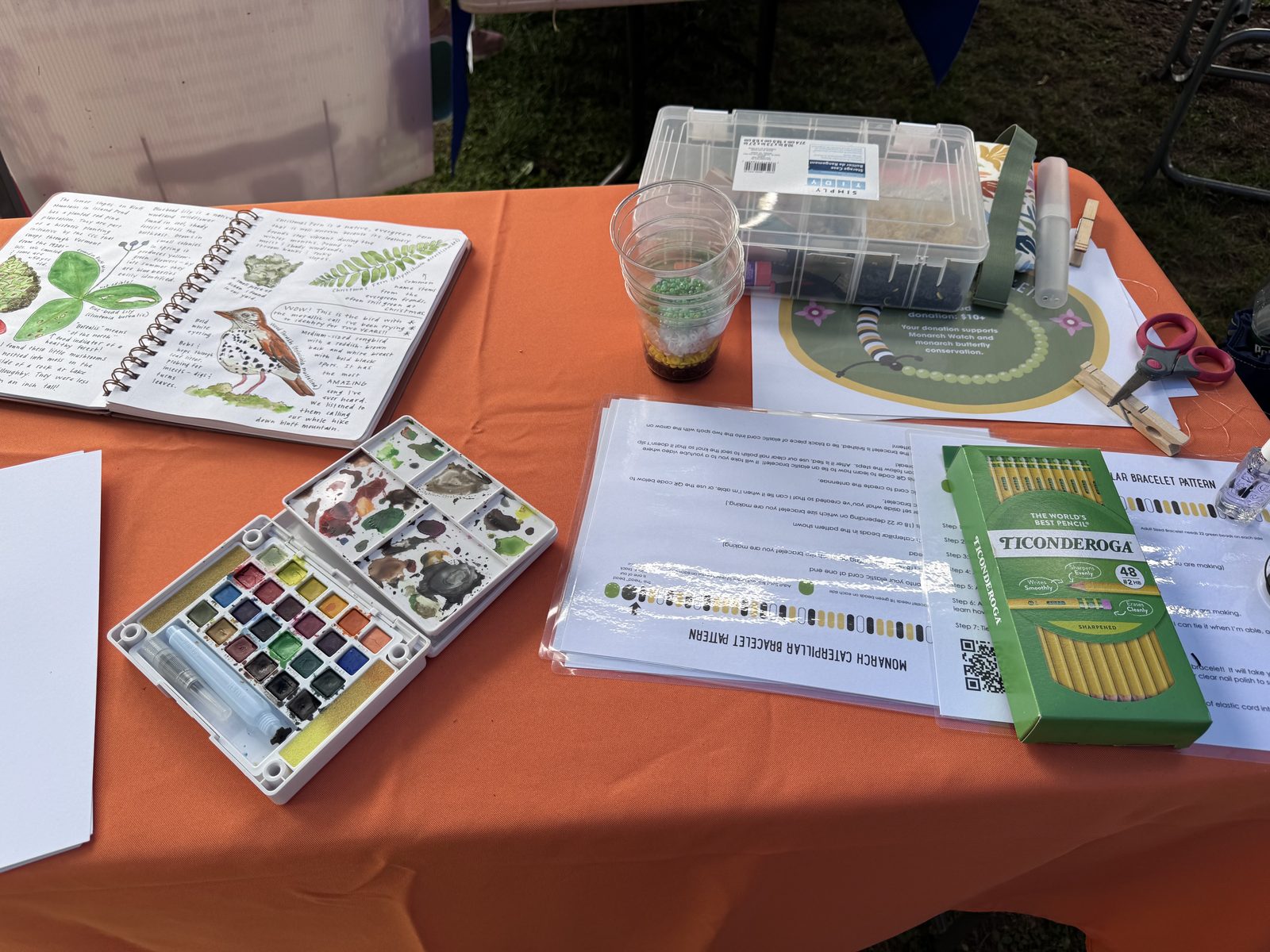 Nature journaling and watercolor supplies on a craft table