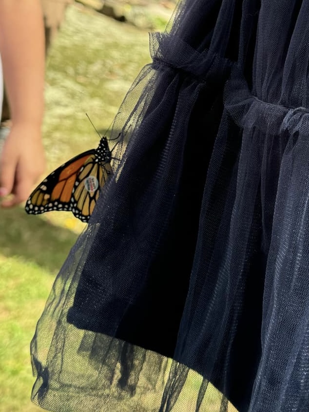 UNH Extension presentation