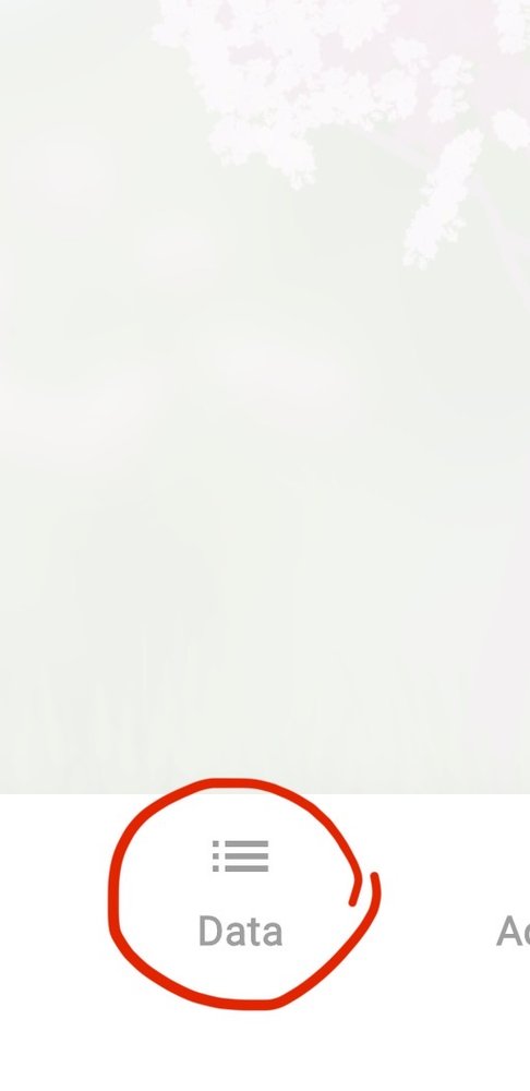 Tap Data at the bottom of the screen