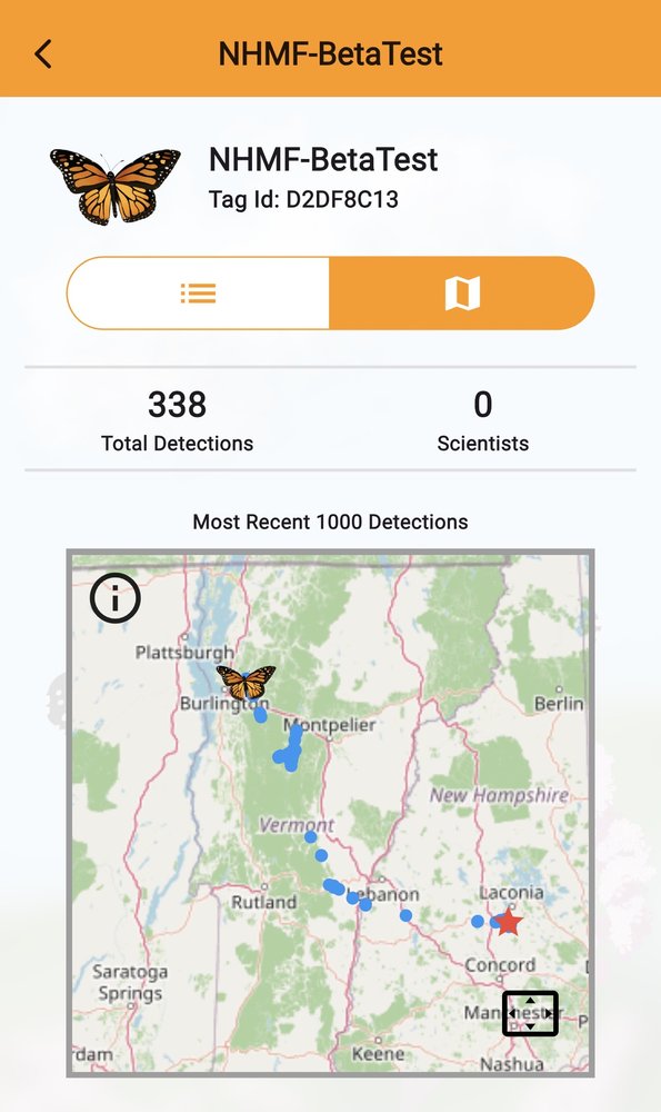 Understanding the detection map